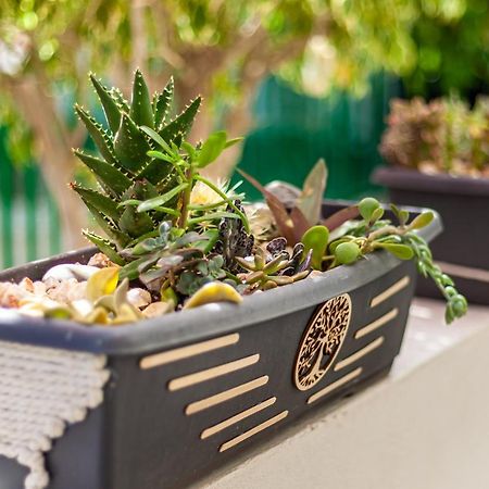 Cactus Lejlighed Maspalomas  Eksteriør billede